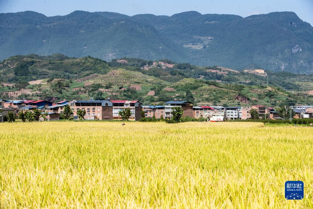 新潮娱乐平台注册